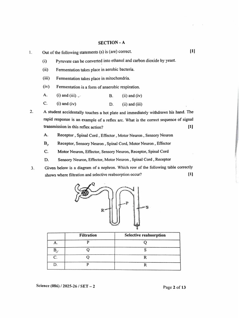Default Folder 20260205 | PDF