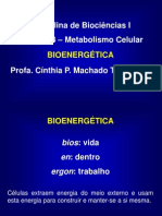 Bioenergética