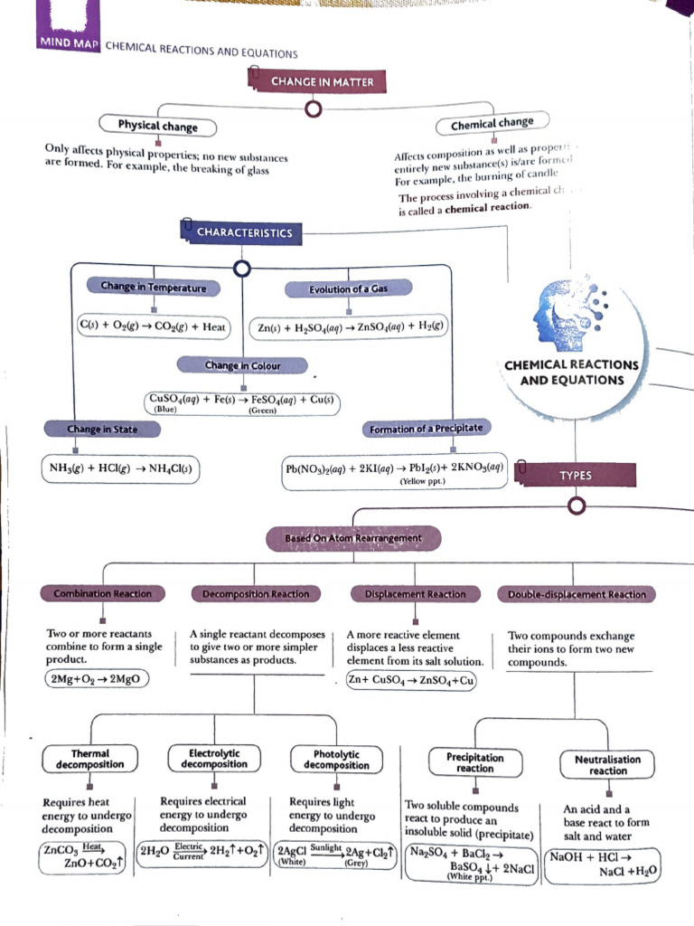 Science | PDF