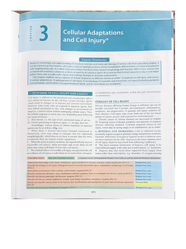 Cellular Adaptations Pathology | PDF