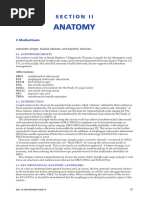 Mediastinal Lymph Node Classification | PDF | Aorta | Lung