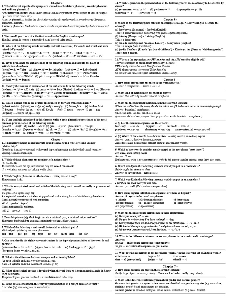 Study Qs | PDF | Grammatical Gender | Word
