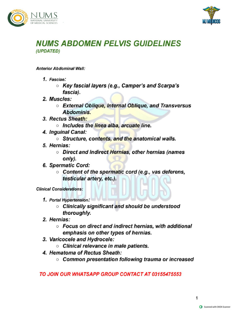 Abdomen Pelvis Markings by MJ Medicos | PDF