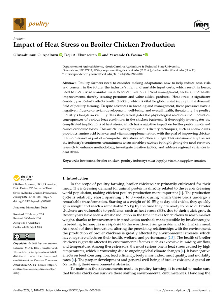 Impact of Heat Stress On Broiler Chicken Production | PDF | Meat | Broiler