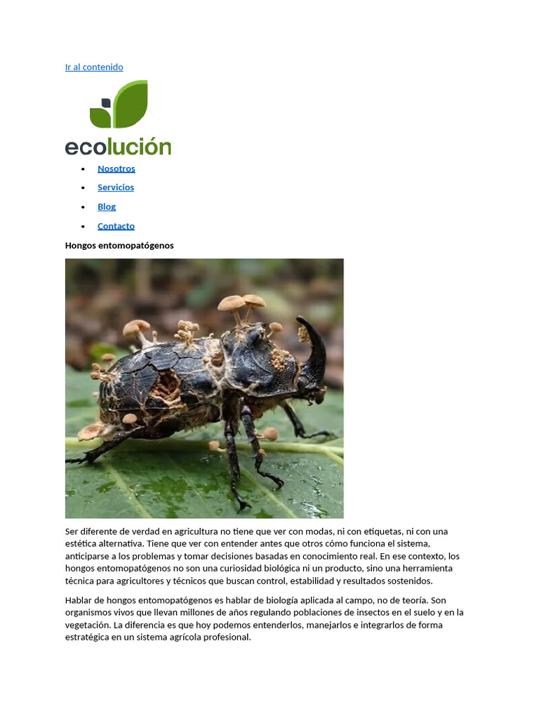 Hongos Entomopatogenos | PDF | Control biológico de plagas | Insecticida