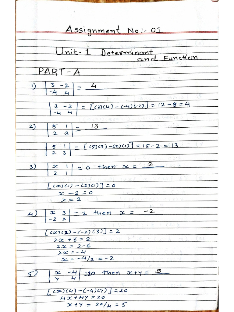 Assignment 01 Determinant and Functions | PDF
