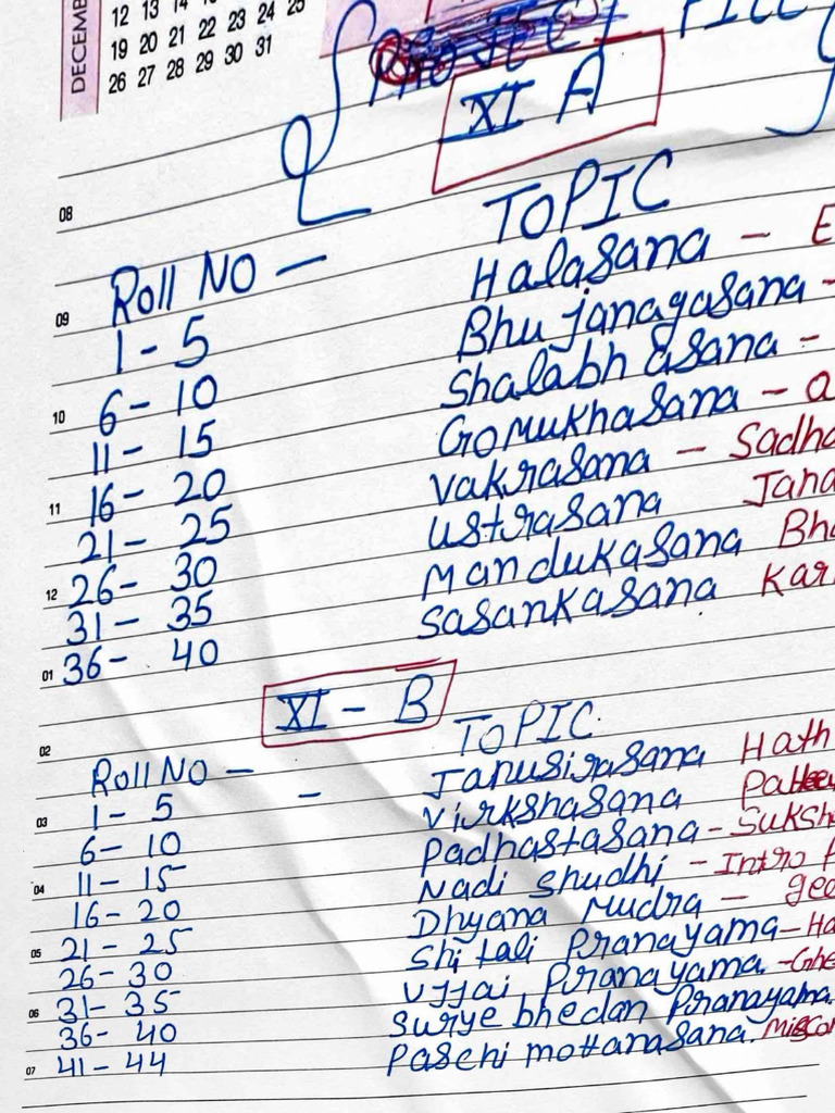 Practical File Topics | PDF
