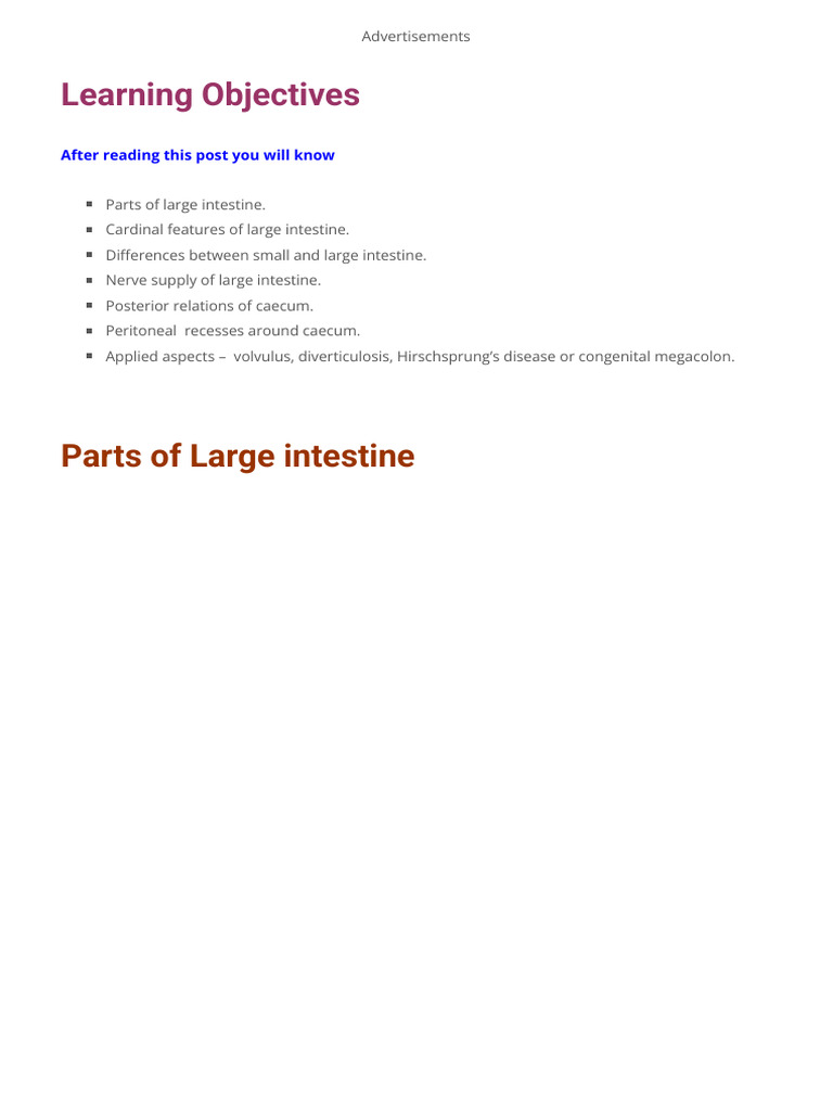 Large Intestine | PDF