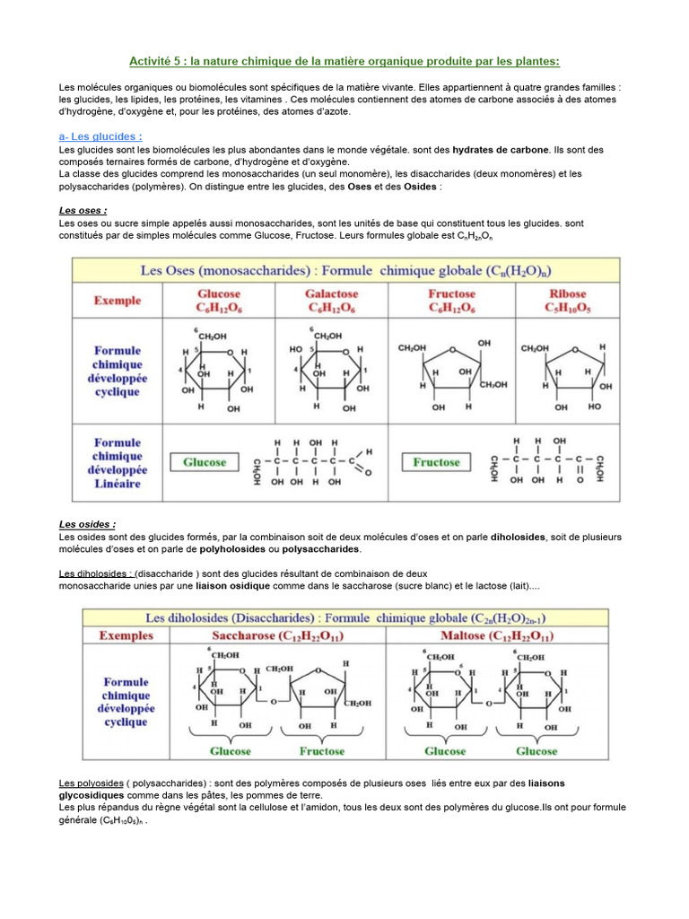 Amidon Lipides Protides Élèves PDF | PDF | Glucide | Composés organiques