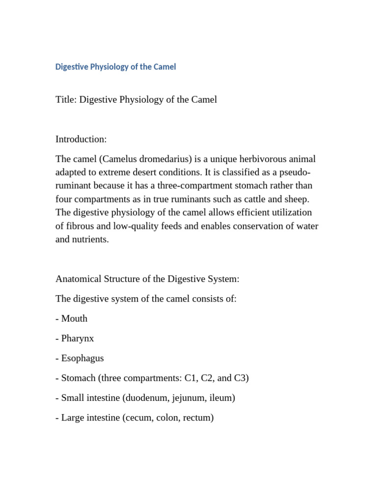 Camel Digestive Physiology Large Font | PDF | Digestion ...