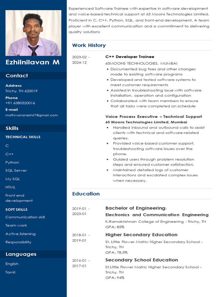 Demo Resume | PDF | Technical Support | Software