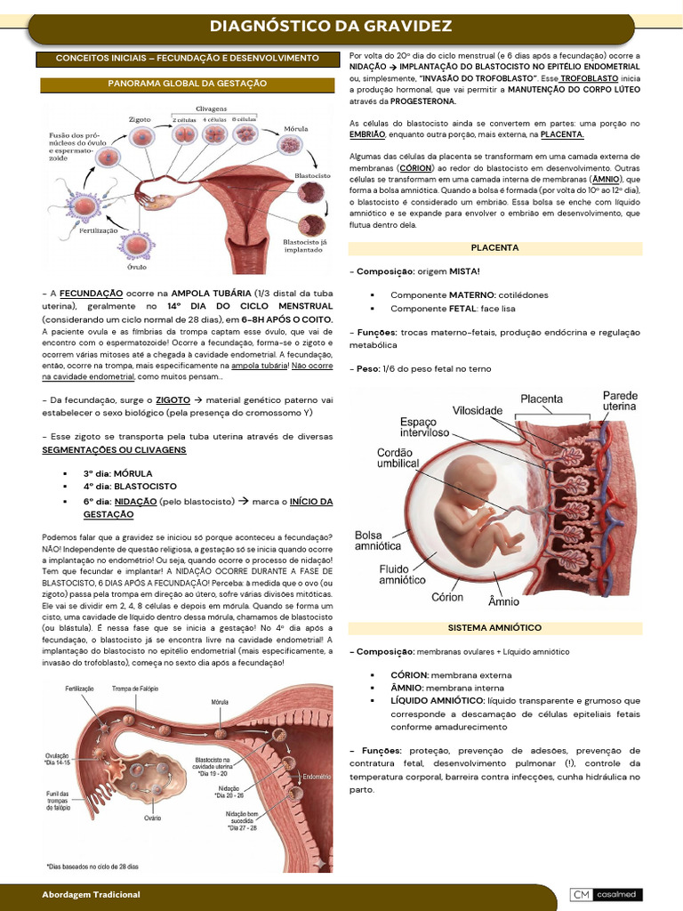 Diagnóstico Da Gravidez | PDF | Gravidez | Placenta