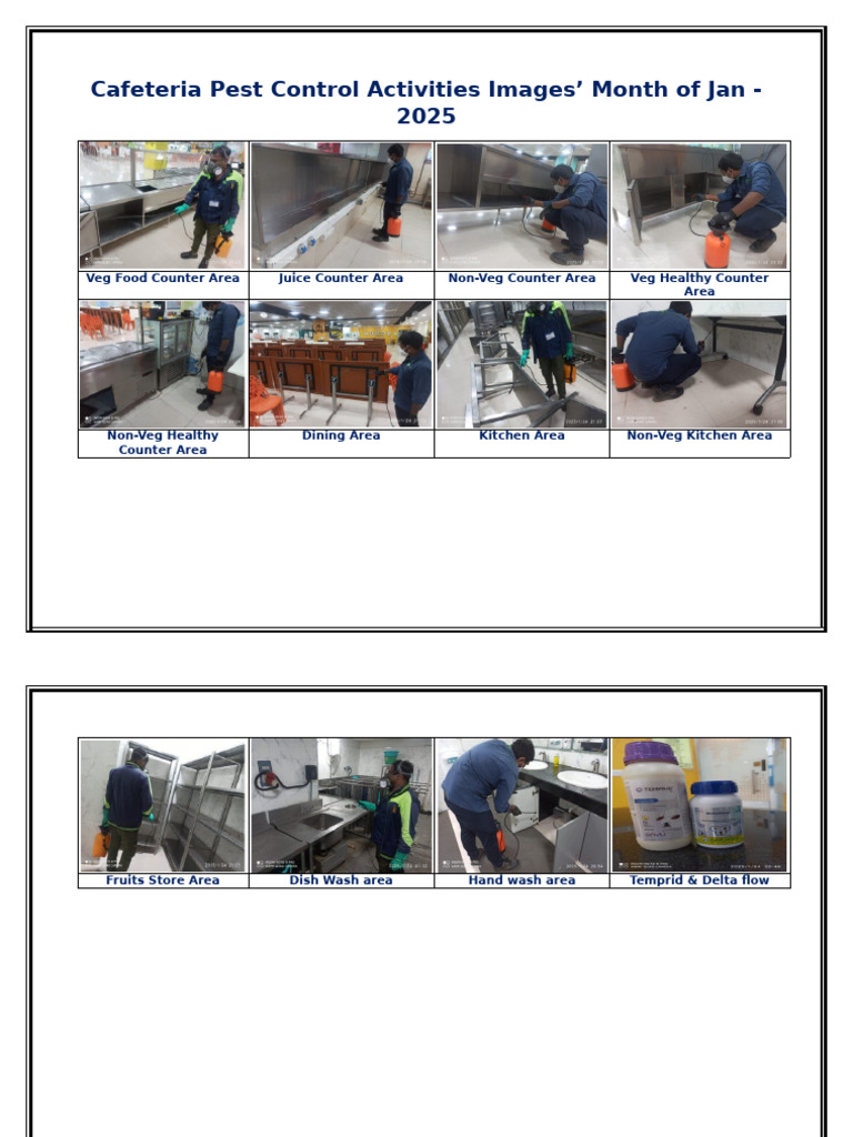 1.Pest Control Imegas Month of Jan- 2025 .(3) - Copy | PDF