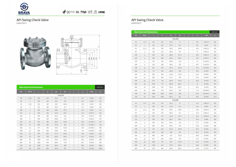Check Valve 1 | PDF