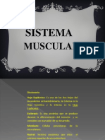 Sistema Muscular y Cavidades Corporales