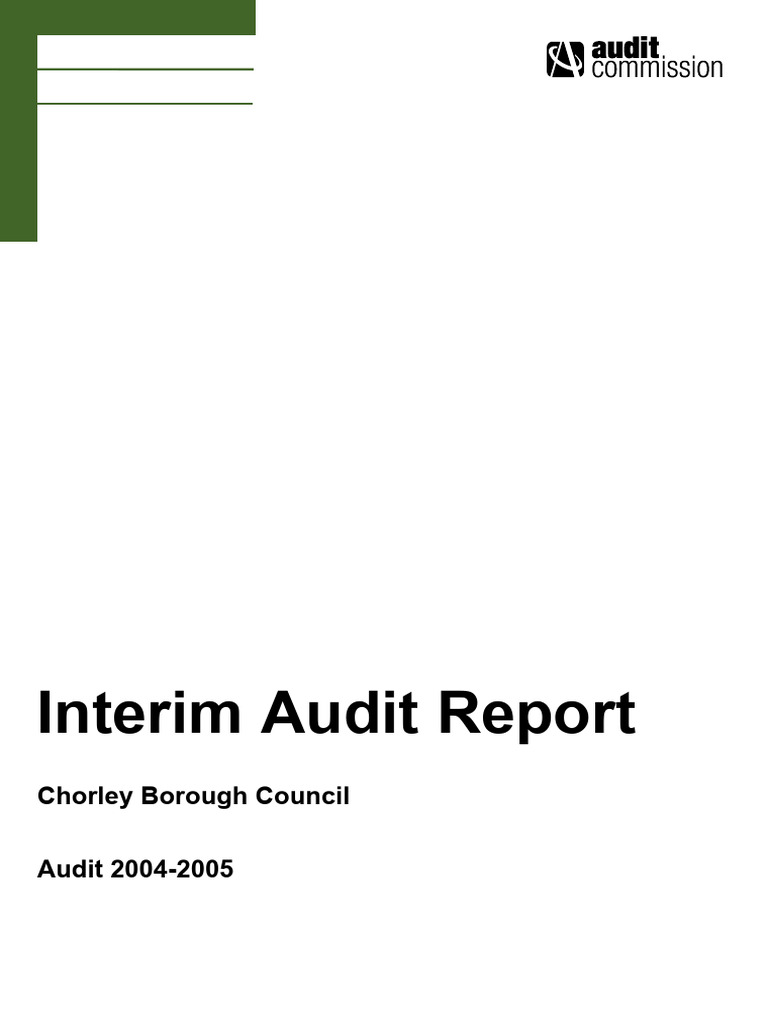 Interim Audit Report | PDF | Audit | Internal Audit