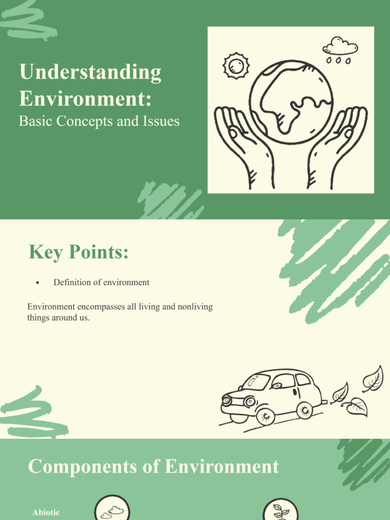 Environment Basic Concepts and Issues | PDF