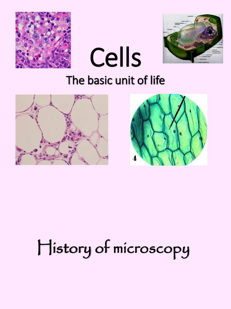 Microscope and Cells | PDF | Cell (Biology) | Vacuole