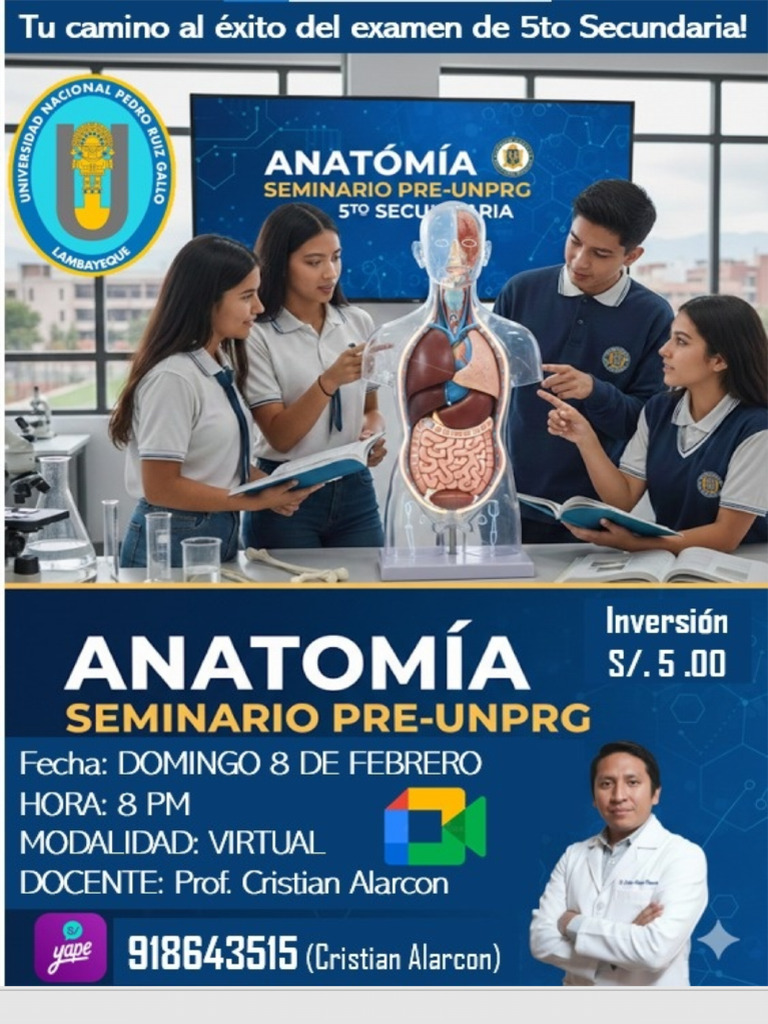 Seminario Anatomia 260208 200129 | PDF