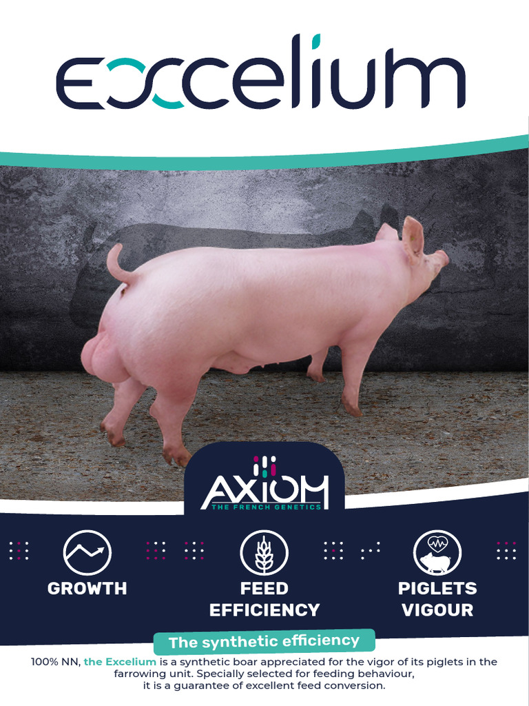 Axiom Excelium en Dig | PDF