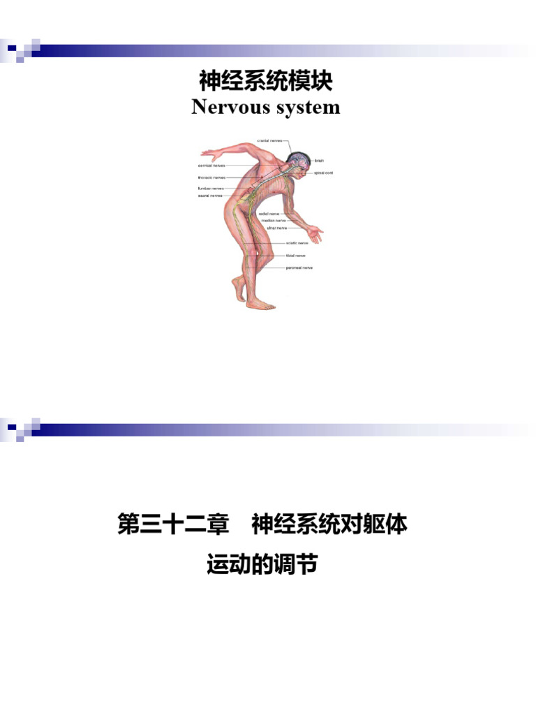学生版5 3神经五运动 | PDF