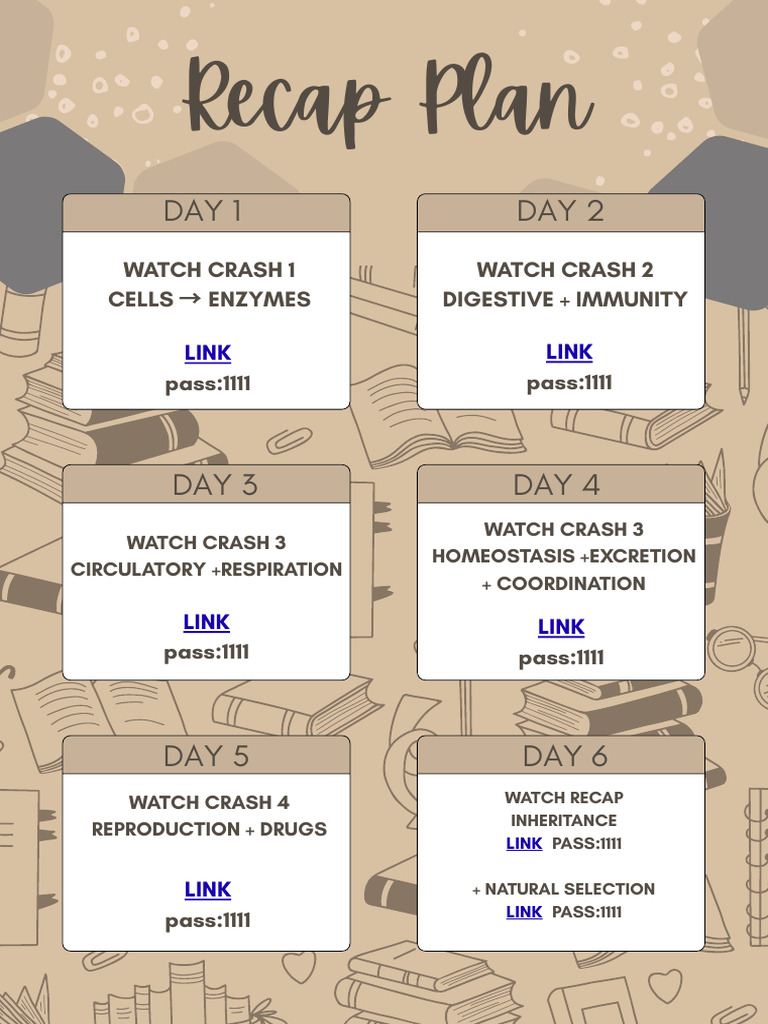 Recap Plan OL | PDF