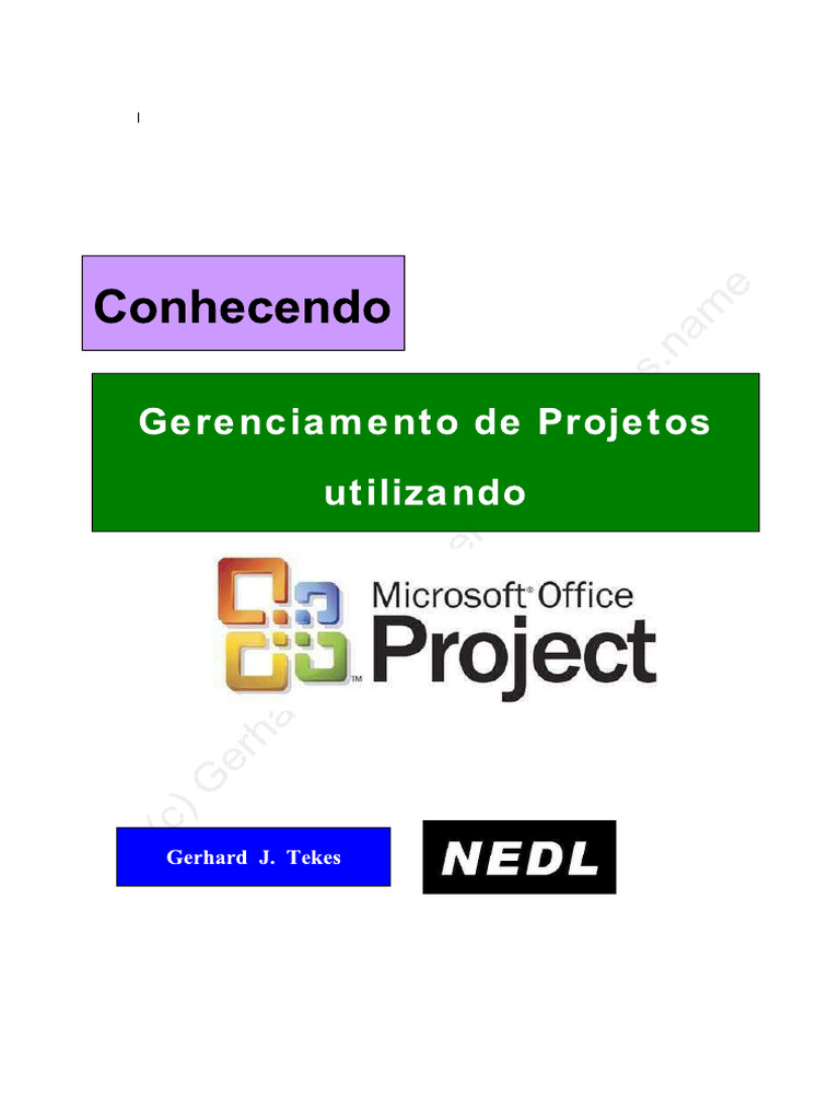 Microsoft Project 1 | PDF