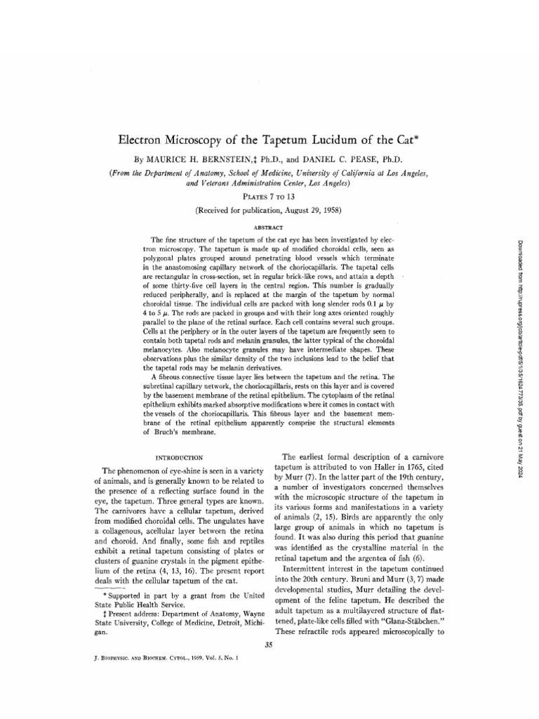 Electron Microscopy of The Tapetum Lucidum of The Cat | PDF | Retina ...