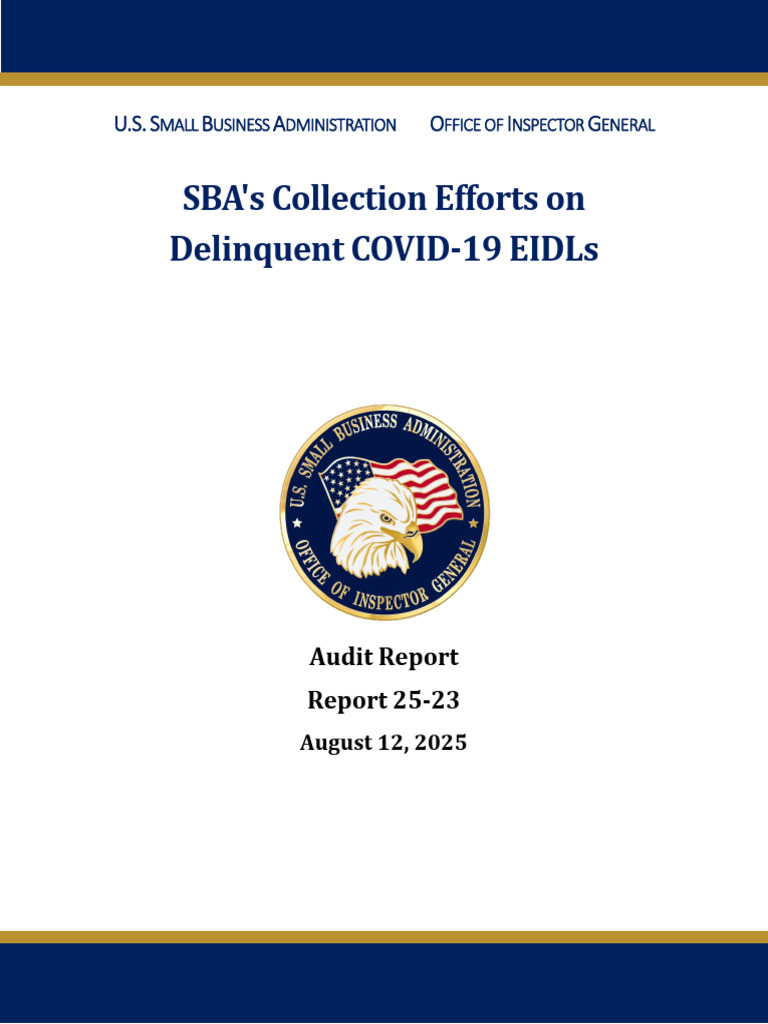 Sba Oig Report 25-23 | PDF | Internal Control | Loans