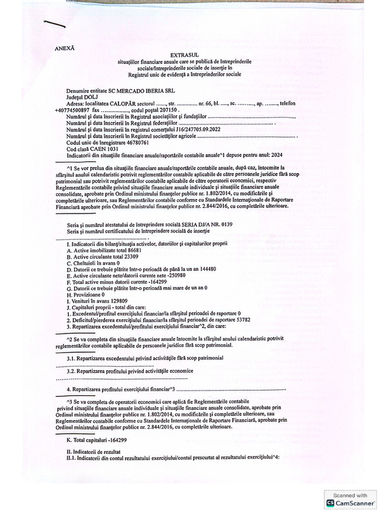 Extrasul Situațiilor Financiare | PDF