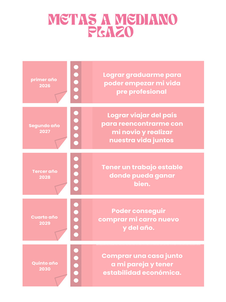 Documento A4 Planner de Metas Moderno Rosa | PDF