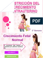 Semana 3