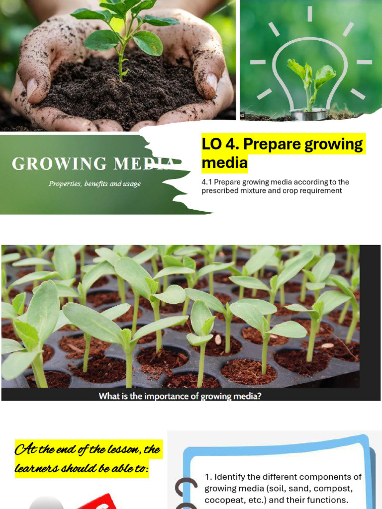 Q2 Preparation of The Growing Media | PDF | Compost | Soil