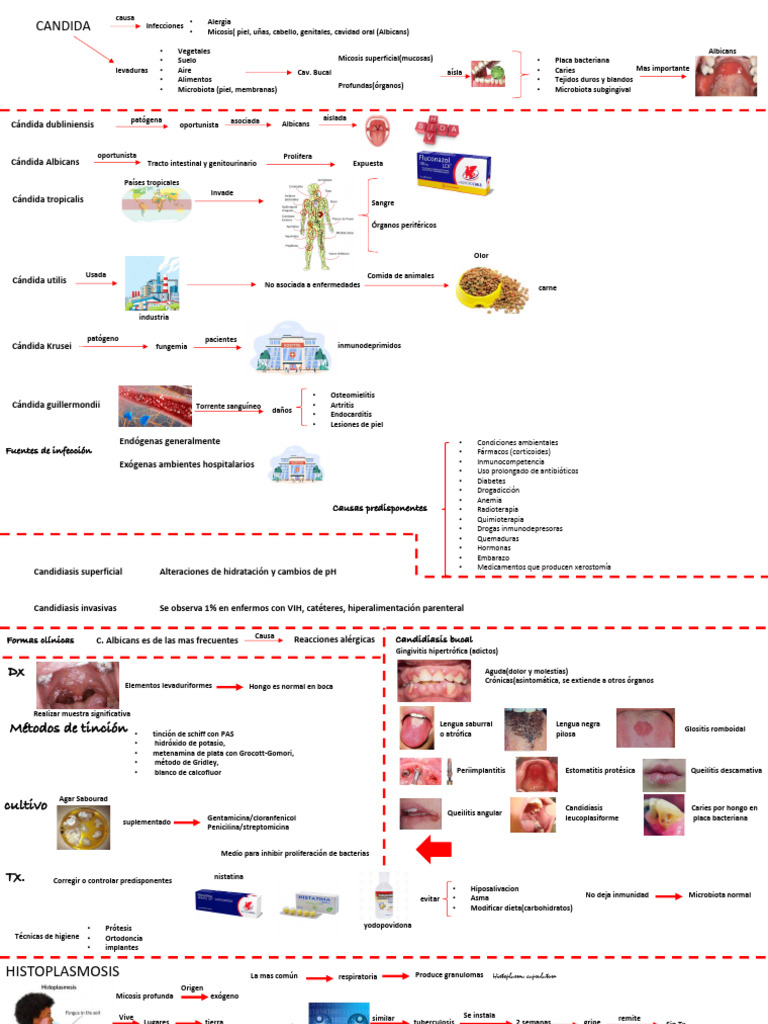 Hongos - Candida - 251116 - 151208 | PDF | Candidiasis | Candida (hongo)