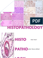 Histopathology, Immunology, Infectious Disease, Internal Medicine