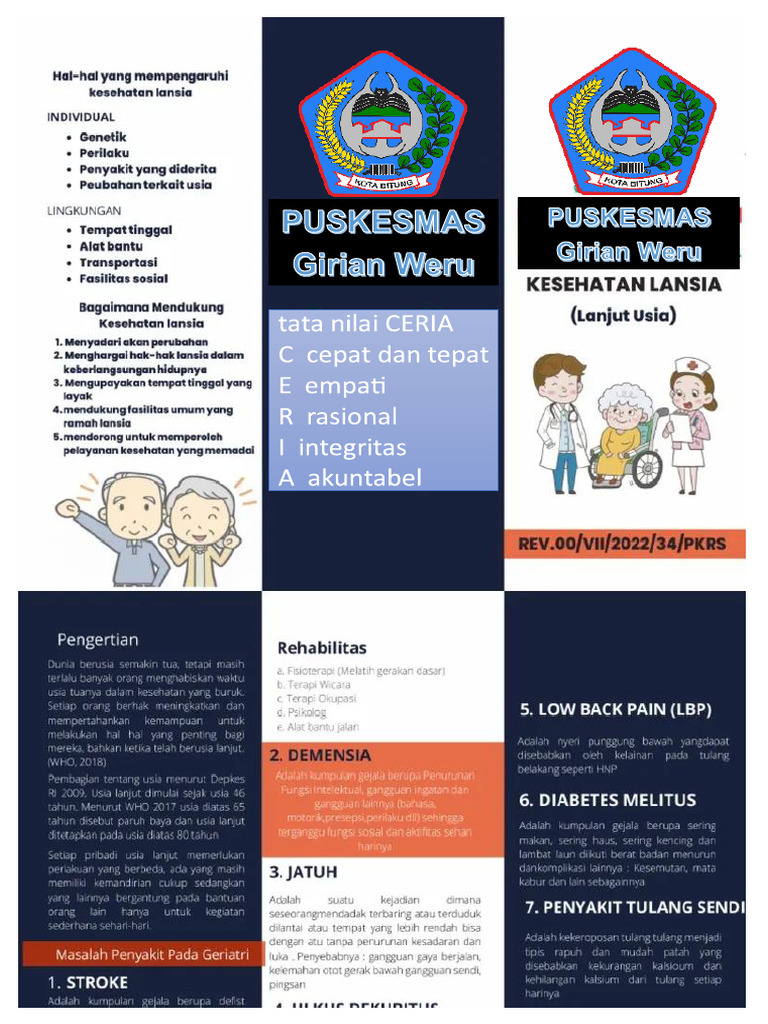Liflet Kesehatan | PDF