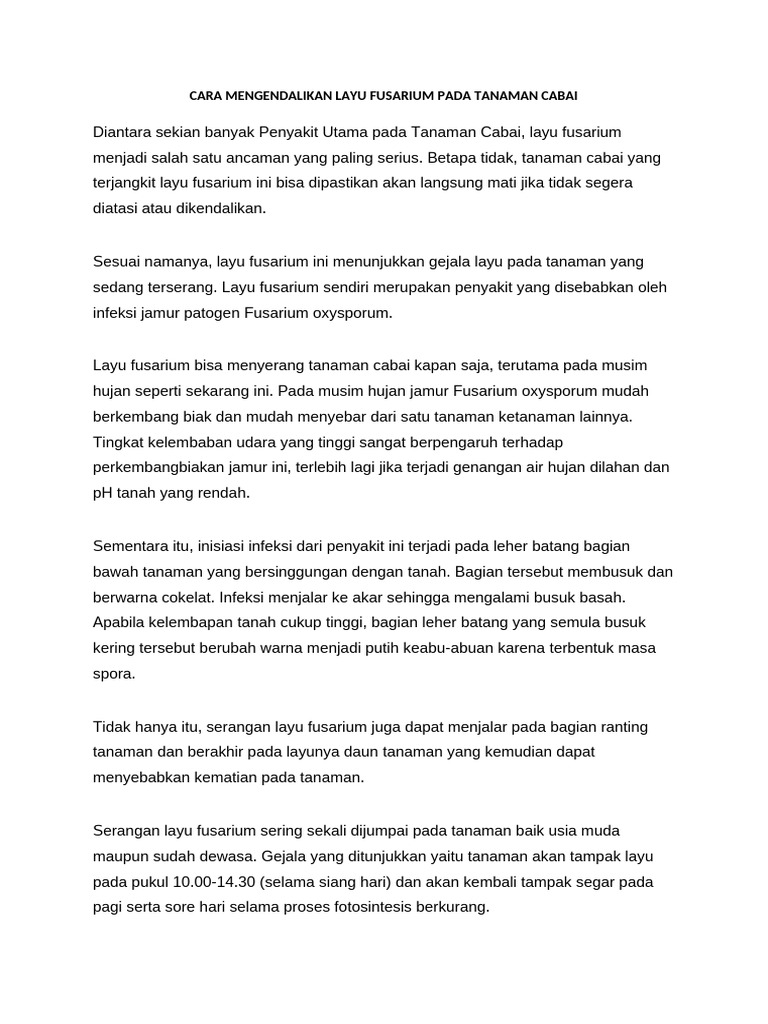 Cara Mengendalikan Layu Fusarium Pada Tanaman Cabai | PDF