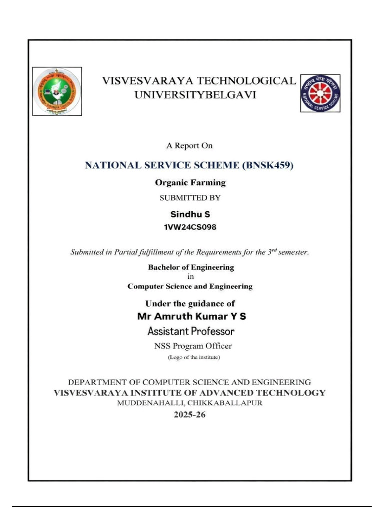 Nss Report | PDF