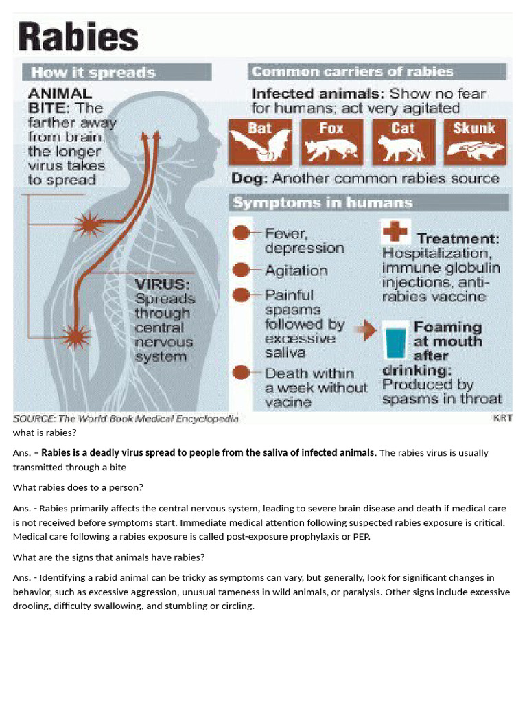 What Is Rabies | PDF