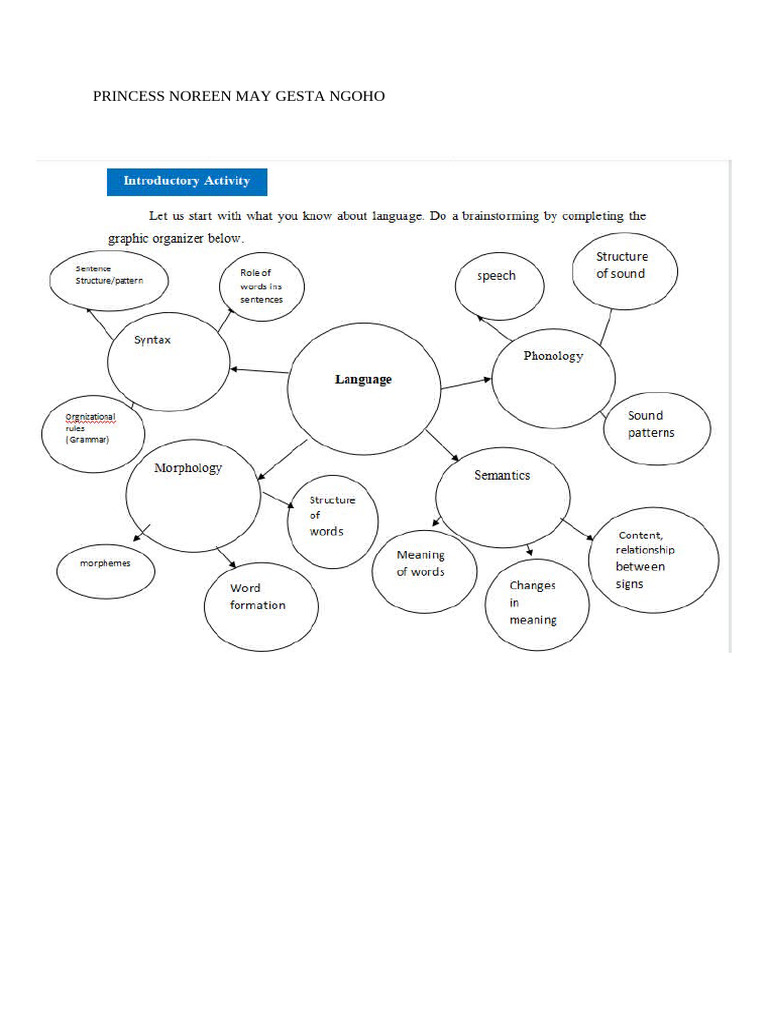Introductory Activity | PDF