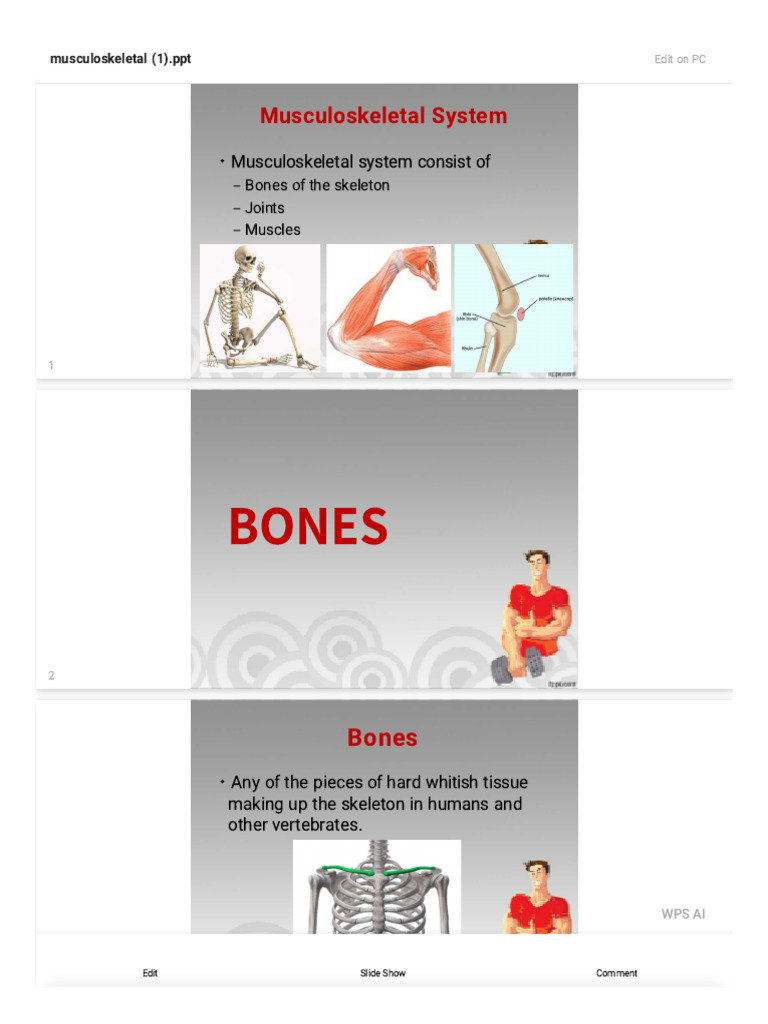 Musculoskeleton Chapter | PDF