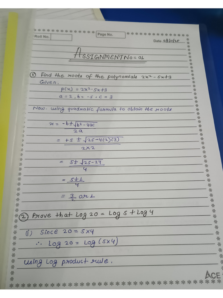 Math's Assignment | PDF
