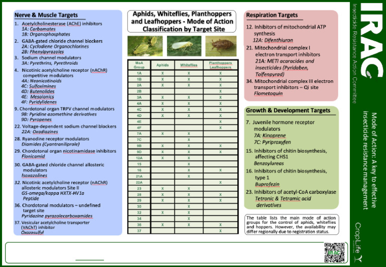 Planthoper 2 | PDF