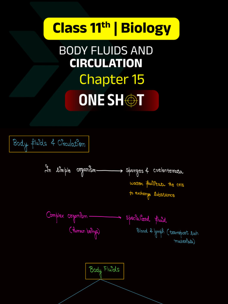 Body Fluids and Circulation | PDF