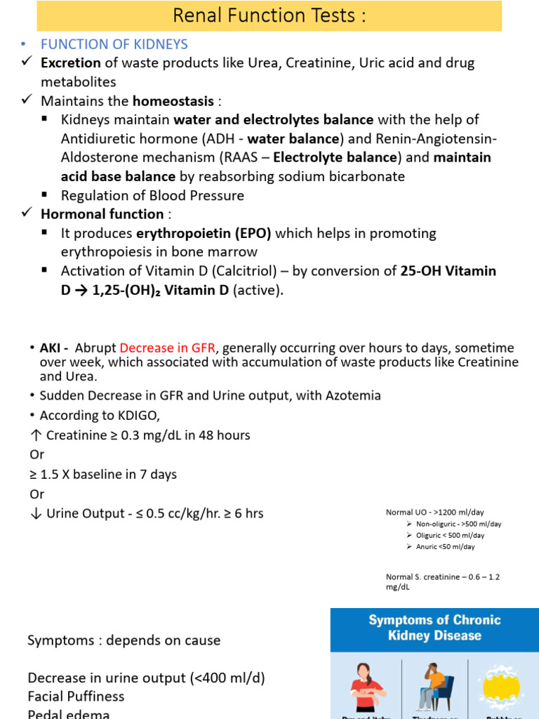 RFT and Urinalysis | PDF | Urinary Tract Infection | Kidney