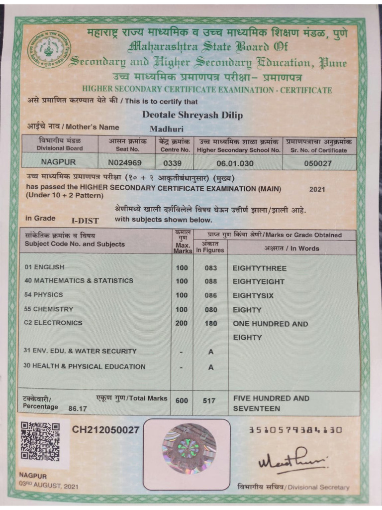 12 TH Marksheet 01 | PDF