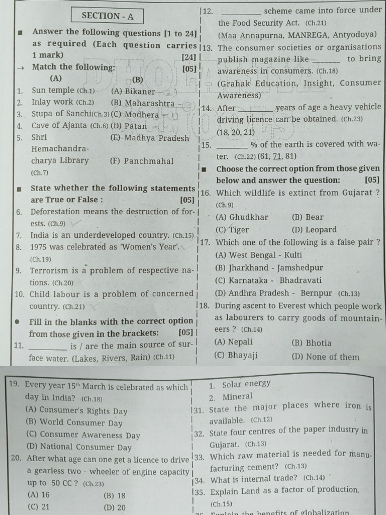 S.S. Practice Papers | PDF