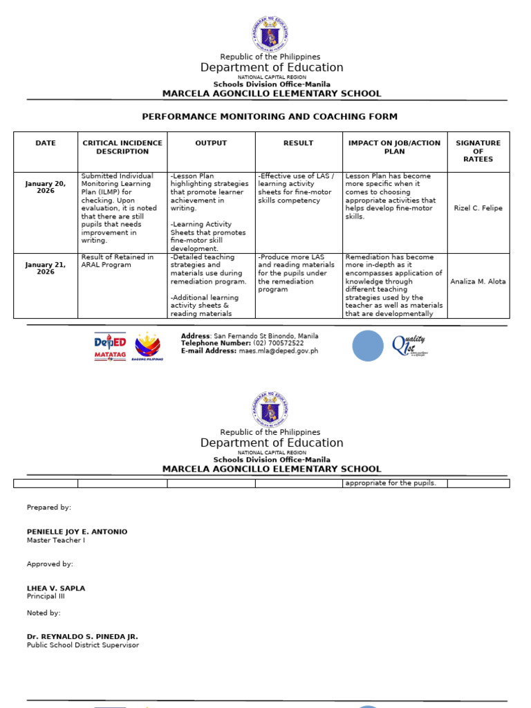 Performance Mentoring and Coaching Form | PDF | Intelligence | Cognition