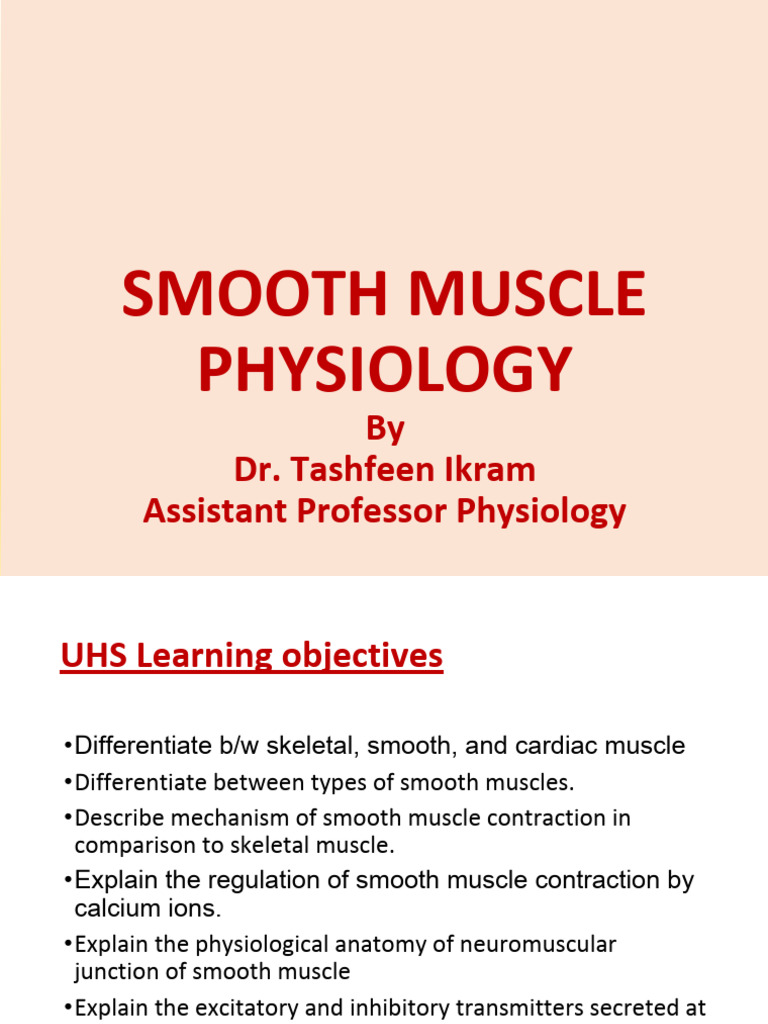 Smooth Muscle | PDF | Muscle Contraction | Skeletal Muscle