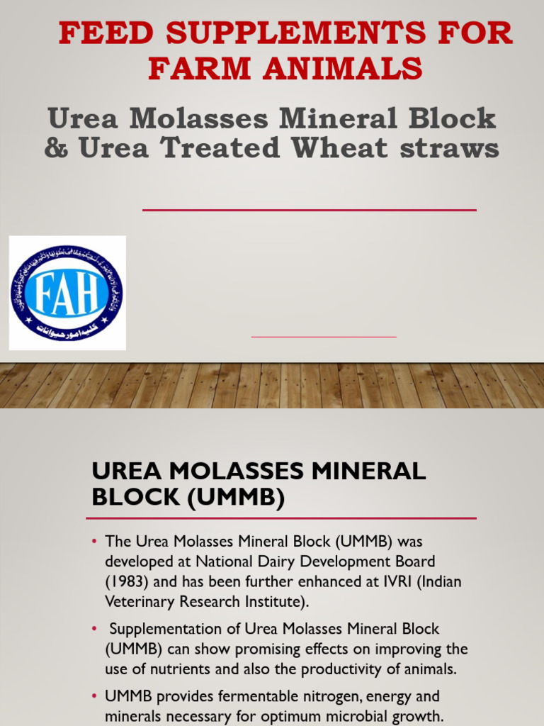 Supplement Preparation For Urea Molasses Mineral Block - Dr. Mahboob | PDF